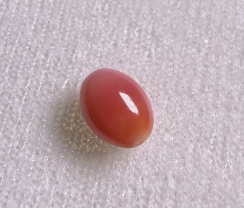 4ct natural conch pearl - 1.4ct,