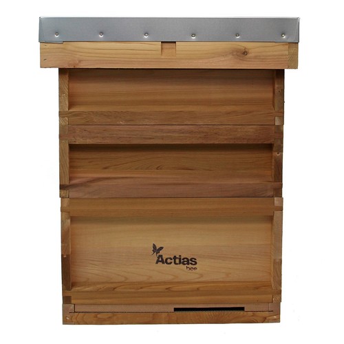 National cedar beehive starter - national,