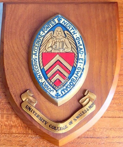 Old university college south - old,