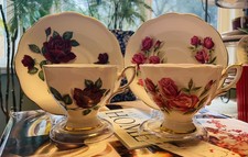 Royal Standard Roses Of “