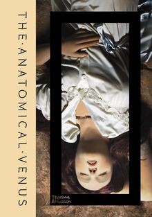 The anatomical venus by - the,