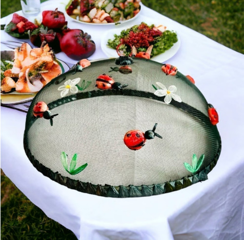 Mesh food cover dome - food,