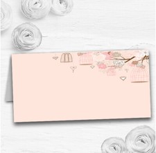 Coral Peach Vintage Birdcage Wedding Table Seating Name Place Cards
