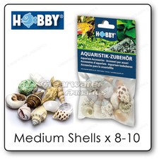 Hobby NATURAL HERMIT CRAB SEA SHELLS SET Jumbo Variety Marine Reef Fish Aquarium