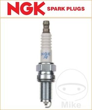 Harley-Davidson V-Rod 1130 VRSCDX Night Rod Special 2007 NGK Spark Plug [DCPR8E]