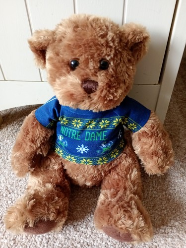 Chelsea bear university - chelsea, of