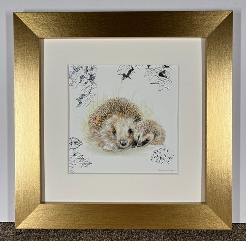 Hedgehog framed print - hedgehog,