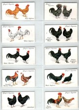 PLAYERS: Poultry 1931 Full Set