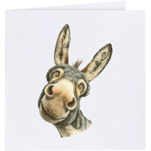 Funny donkey greeting cards - greeting,