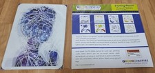 Painting Stencils Bundle –