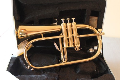 New unused flugel - flugel, horn
