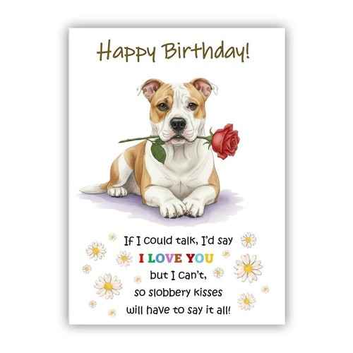 American bulldog birthday - birthday, card