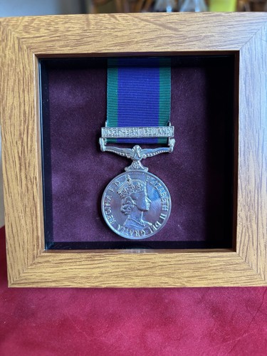 General service medal - general,