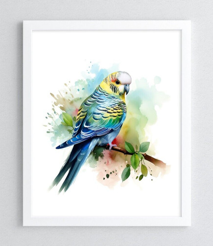 Budgie wall art print cute - art,