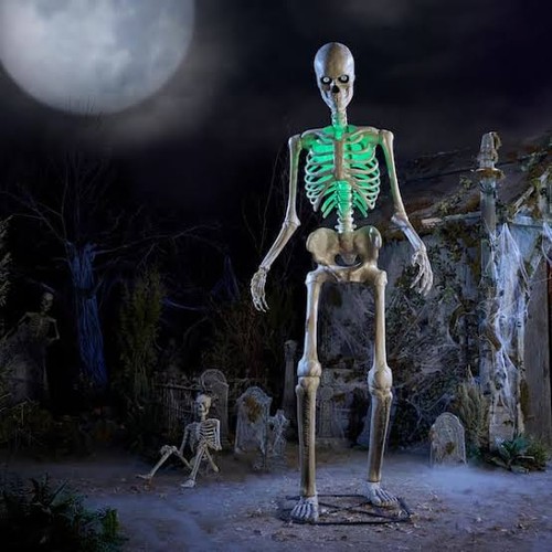 12ft animated led - 12ft, skelly