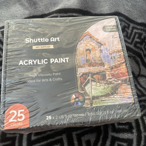 Shuttle art acrylic paint - shuttle, 25