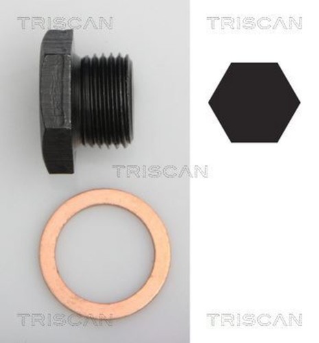 Oil pan screw plug triscan - screw,