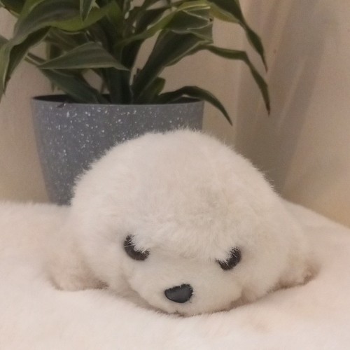 Sylshire white seal plush - sylshire,