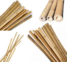 Strong Heavy Duty Professional