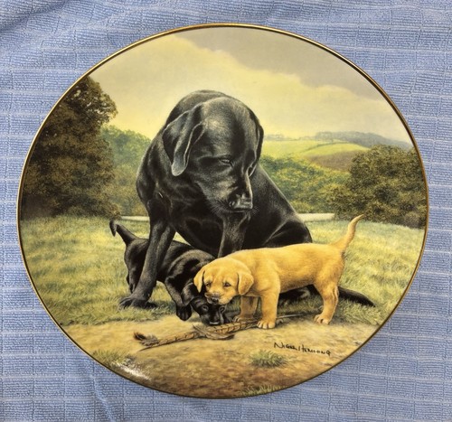 Franklin mint nigel - nigel, hemming