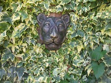 BIG BRONZED  STONE FEMALE LION