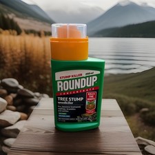 Roundup tree stump and - and, root