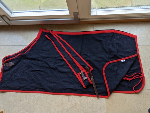 Beautiful wool show rug - , 6'0"