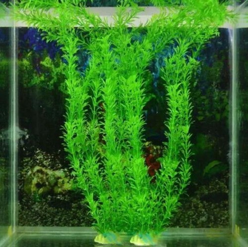 Plastic aquarium fish tank - plastic,