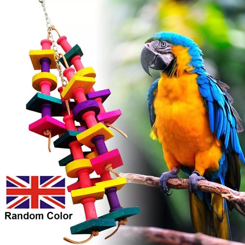 Parrot pet bird - chew, toys