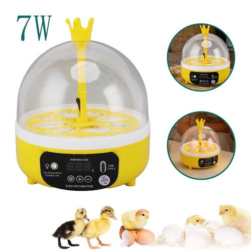 Automatic egg incubator - automatic,