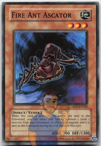 Fire ant ascator abpf en020 - fire,