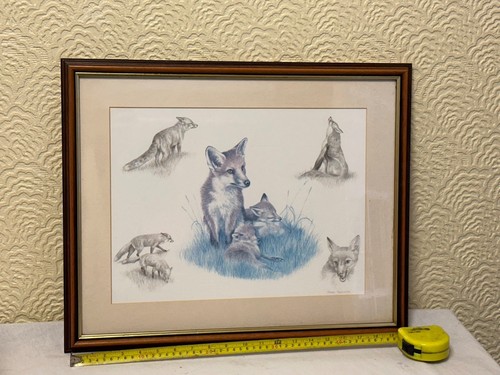 Fox and cubs nigel - by,