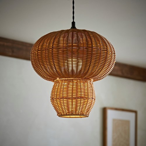 Portobello rattan mushroom - portobello,