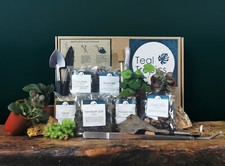 Terrarium Tools & Substrate