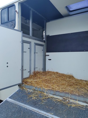 Horse box partitions - horse,