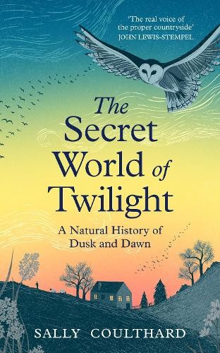 The secret world - world, twilight