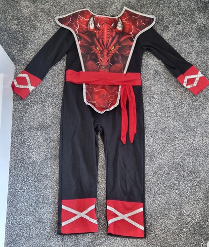 Kids dragon costume size 6 - dragon,