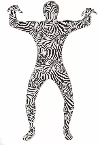Childs zebra morph - zebra, fancy