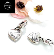 Sterling Silver 925 Charm