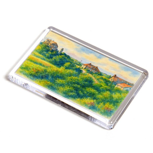 Fridge magnet primrose - -,