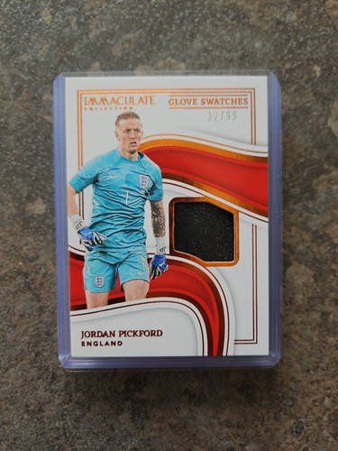 Jordan pickford patch panini - jordan,