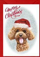 Poodle (Apricot) Dog A6 (4"x