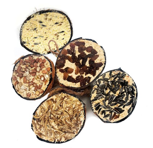 Chubby suet filled coconut - filled,