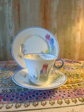 Shelley Regency /Eve  Crocuses