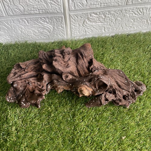 Aquarium bogwood natural - aquarium,