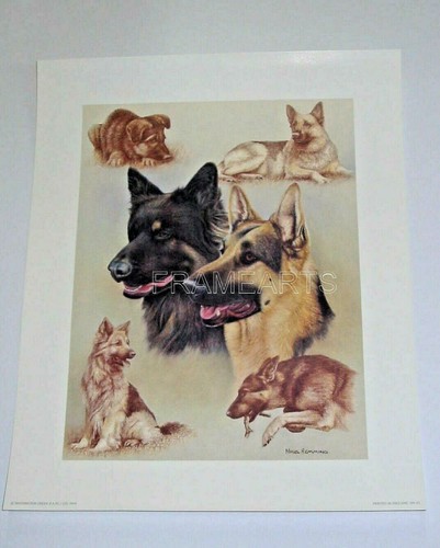 Nigel hemming german shepherd - hemming,,