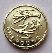 2013 BRILLIANT UNCIRCULATED