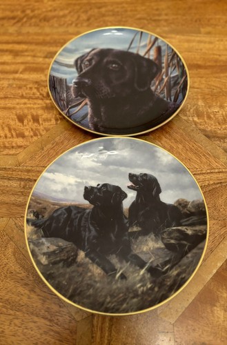 Black labrador plates - plates, by