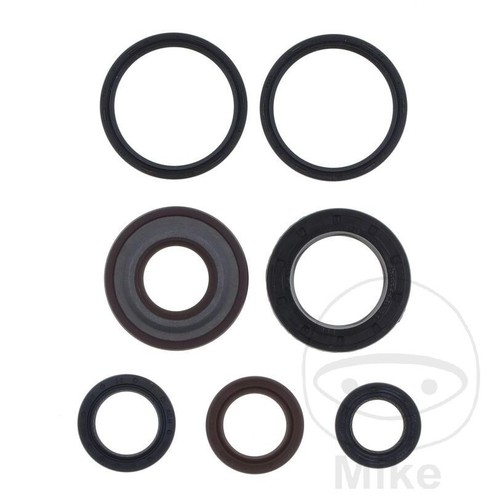 Motor shaft seal - shaft, set