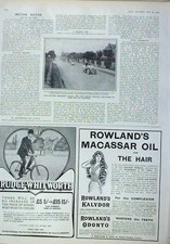 Original Old Antique Print